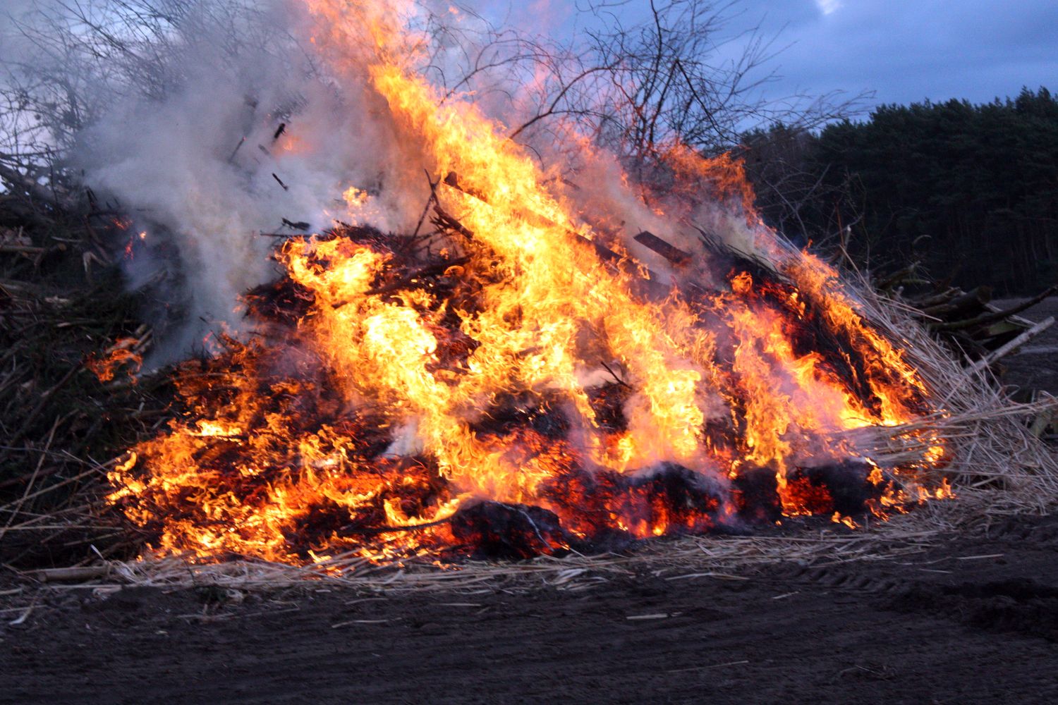 placeholder image-sq