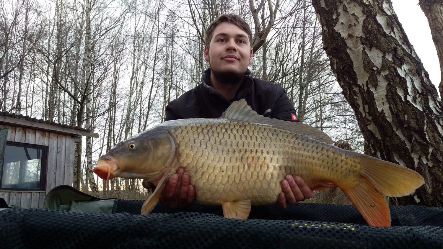 placeholder image-sq